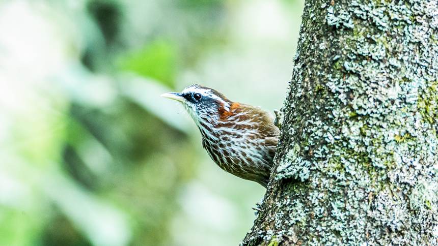 �ϴ��^(q��)���ɽ������Ȼ���o(h��)�^(q��)�Ĕz�����i�^���̡�������z