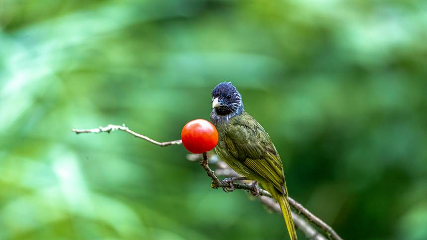 ���ɽ��(gu��)����Ȼ���o(h��)�^(q��)�Ĕz�ĻҼy�l��������z