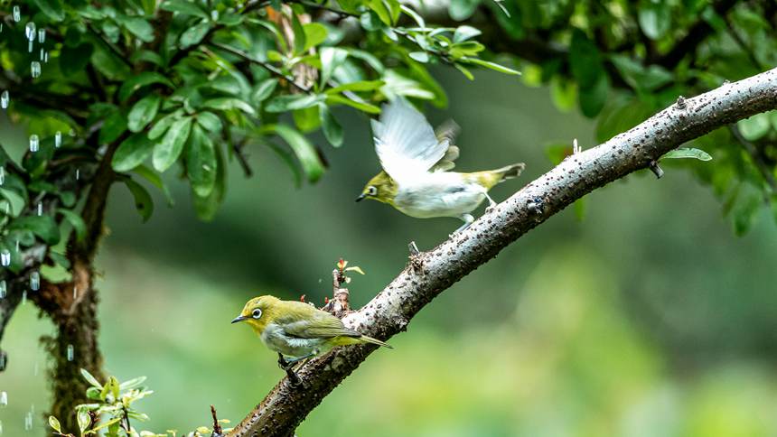 ���ɽ��(gu��)����Ȼ���o(h��)�^(q��)�Ĕz���I(l��ng)ȸ���l��������z