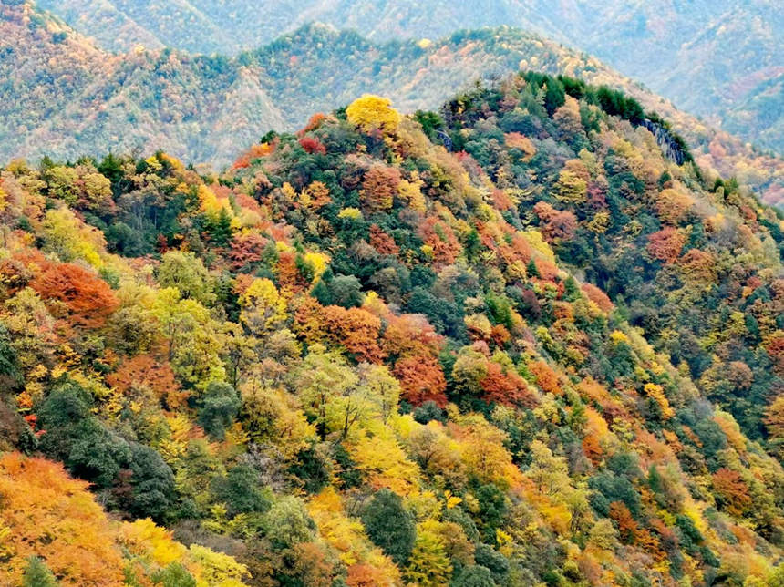 �ؑc�гǿڿh���ɽ�ϲ��~���ֱMȾ���S��M�z