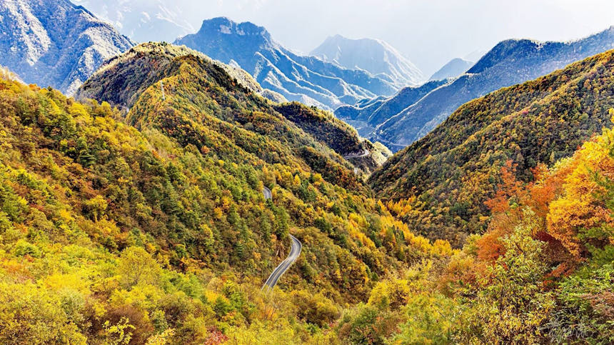 ��ɽ���X֮�g�����~һ�X��һ�X���S��M�z