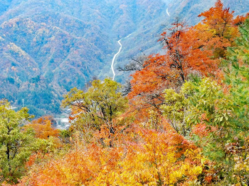 ���~�ߔ����S��M�z