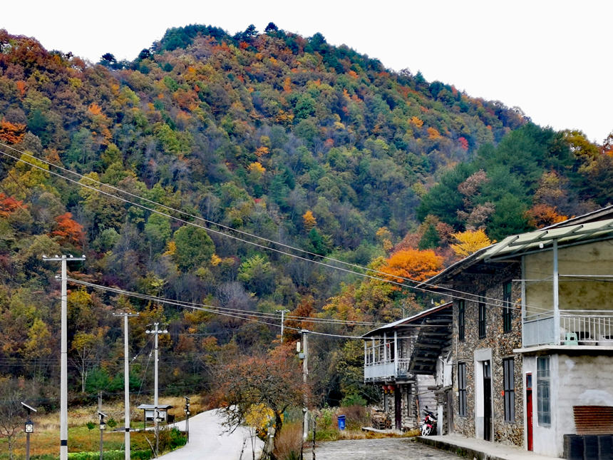 ɽ�_�µ��r�����S��M�z