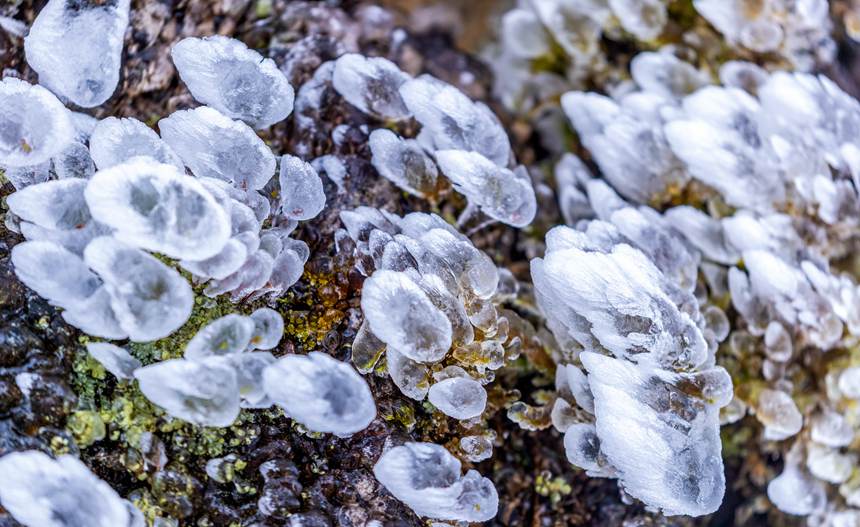 ���ɽ���F(xi��n)�Fڡ���^��������z