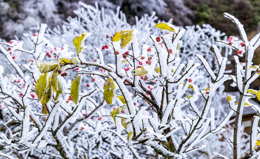 ���ɽ���F(xi��n)�Fڡ���^��������z