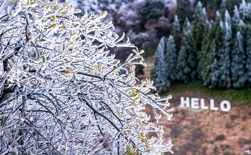 ���ɽ���F(xi��n)�Fڡ���^��������z