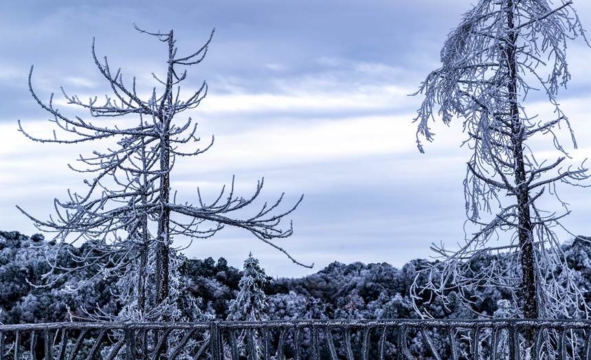 ���ɽ���F(xi��n)�Fڡ���^��������z