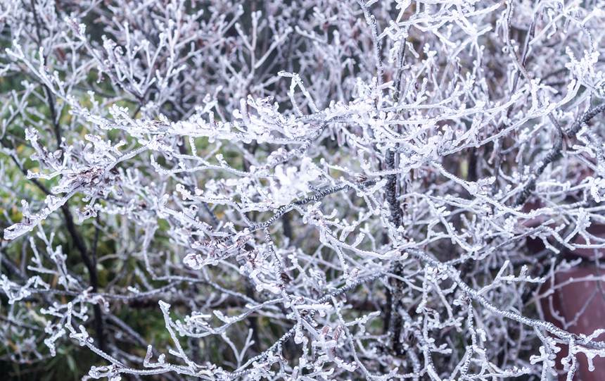 ���ɽ���F(xi��n)�Fڡ���^��������z