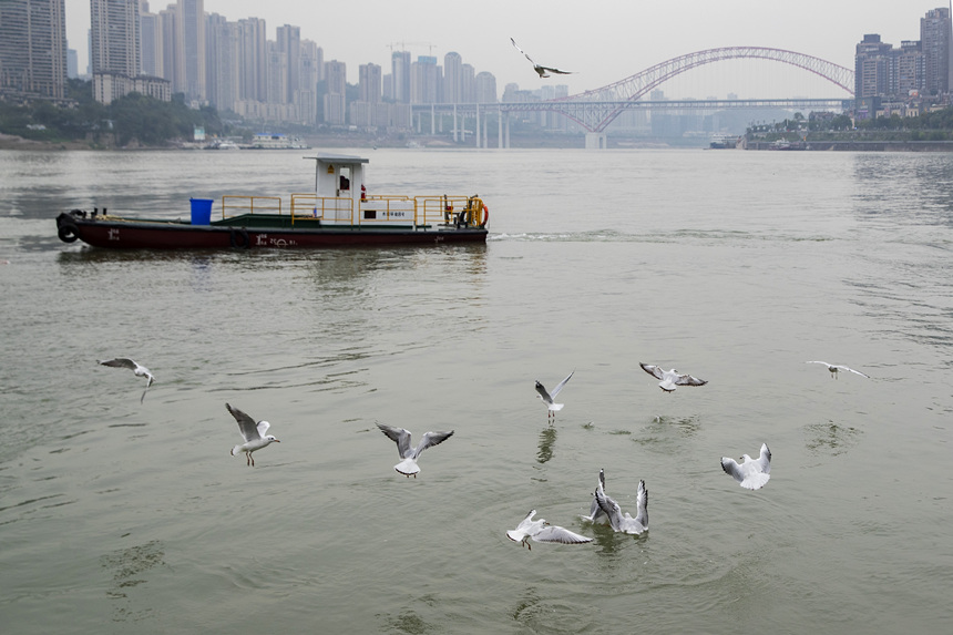 �ؑc�����T�ɽ��R��̎ӭ���t���t�����g�z