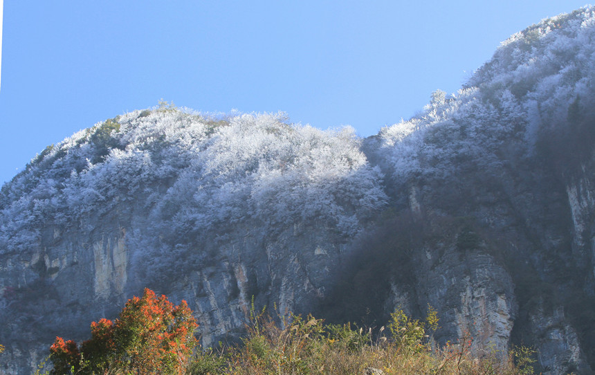 11��10�����׍{֮�p���F(xi��n)�Fڡ���^���R�ȑc�z