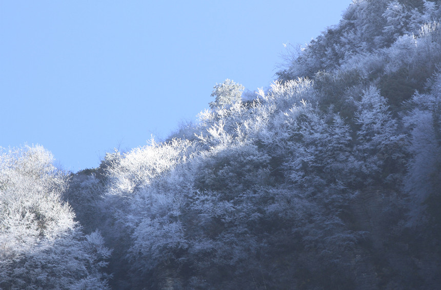 11��10�����׍{֮�p���F(xi��n)�Fڡ���^���R�ȑc�z