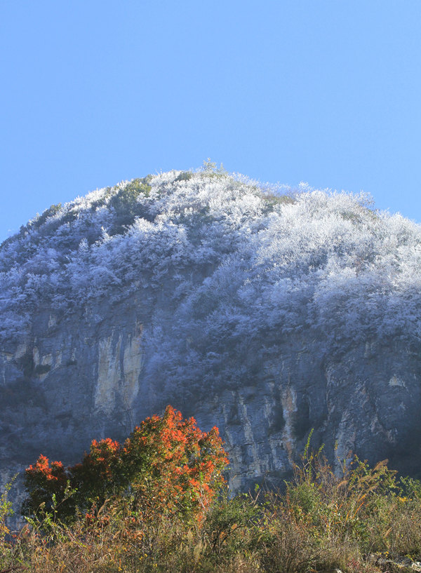 11��10�����׍{֮�p���F(xi��n)�Fڡ���^���R�ȑc�z