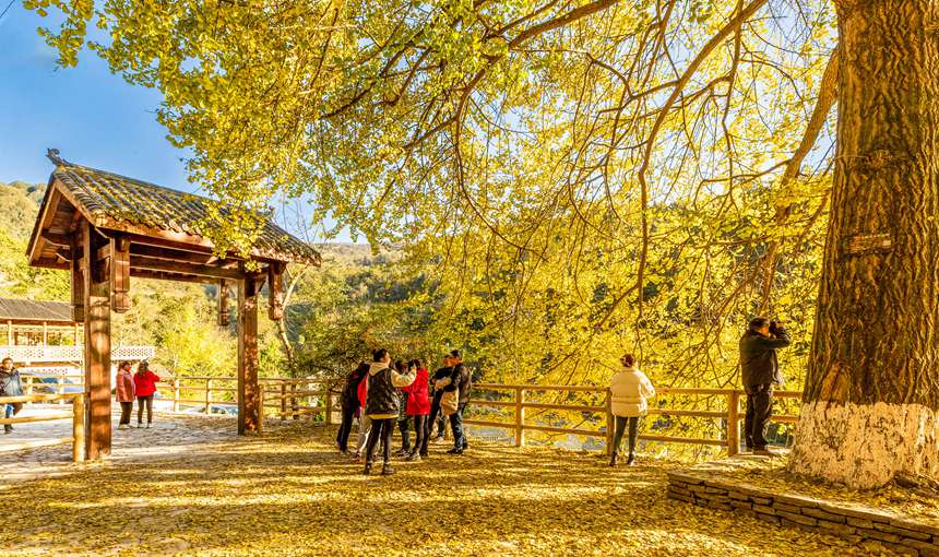 �ϴ��^(q��)��¡�(zh��n)�y�Ӵ���������z