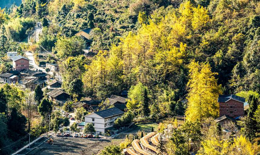 �ϴ��^(q��)��¡�(zh��n)�y�Ӵ���������z