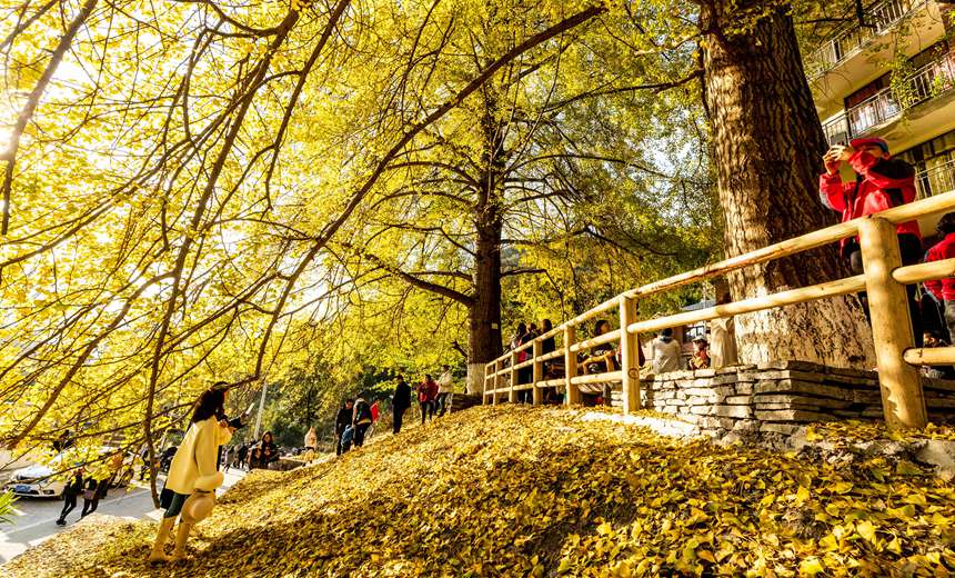 �ϴ��^(q��)��¡�(zh��n)�y�Ӵ���������z