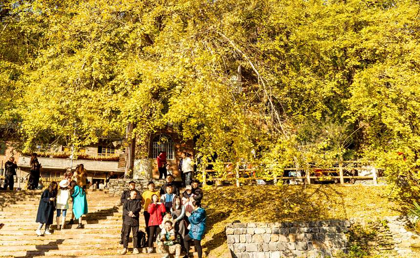 �ϴ��^(q��)��¡�(zh��n)�y�Ӵ���������z