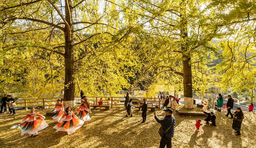 �ϴ��^(q��)��¡�(zh��n)�y�Ӵ���������z