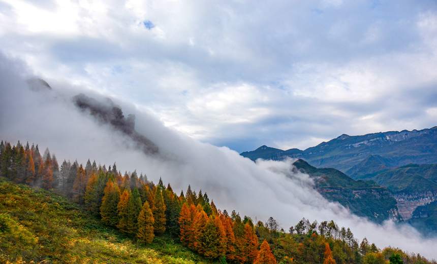 ���ɽ���F(xi��n)�ƺ����^��������z