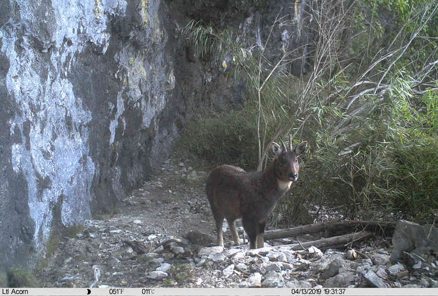 �������ؑc���֘I(y��)�ֹ��D