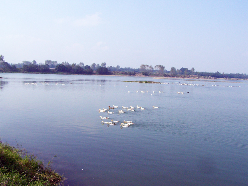 �ؑc�������ҝ�ع��@���ؑc���֘I(y��)�ֹ��D