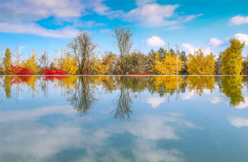 藍(lán)天彩林倒影水中，絕美如畫。武隆景區(qū)供圖