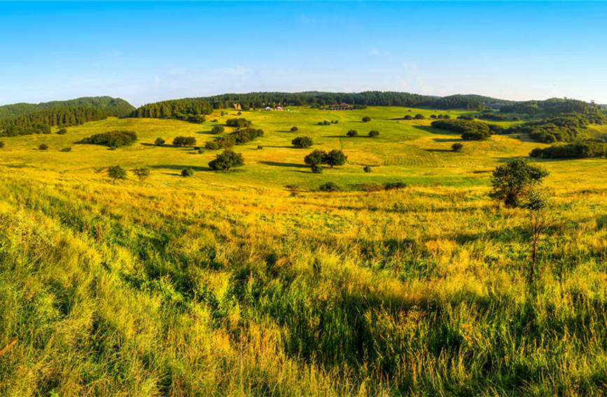 色彩斑斕的仙女山。武隆景區(qū)供圖