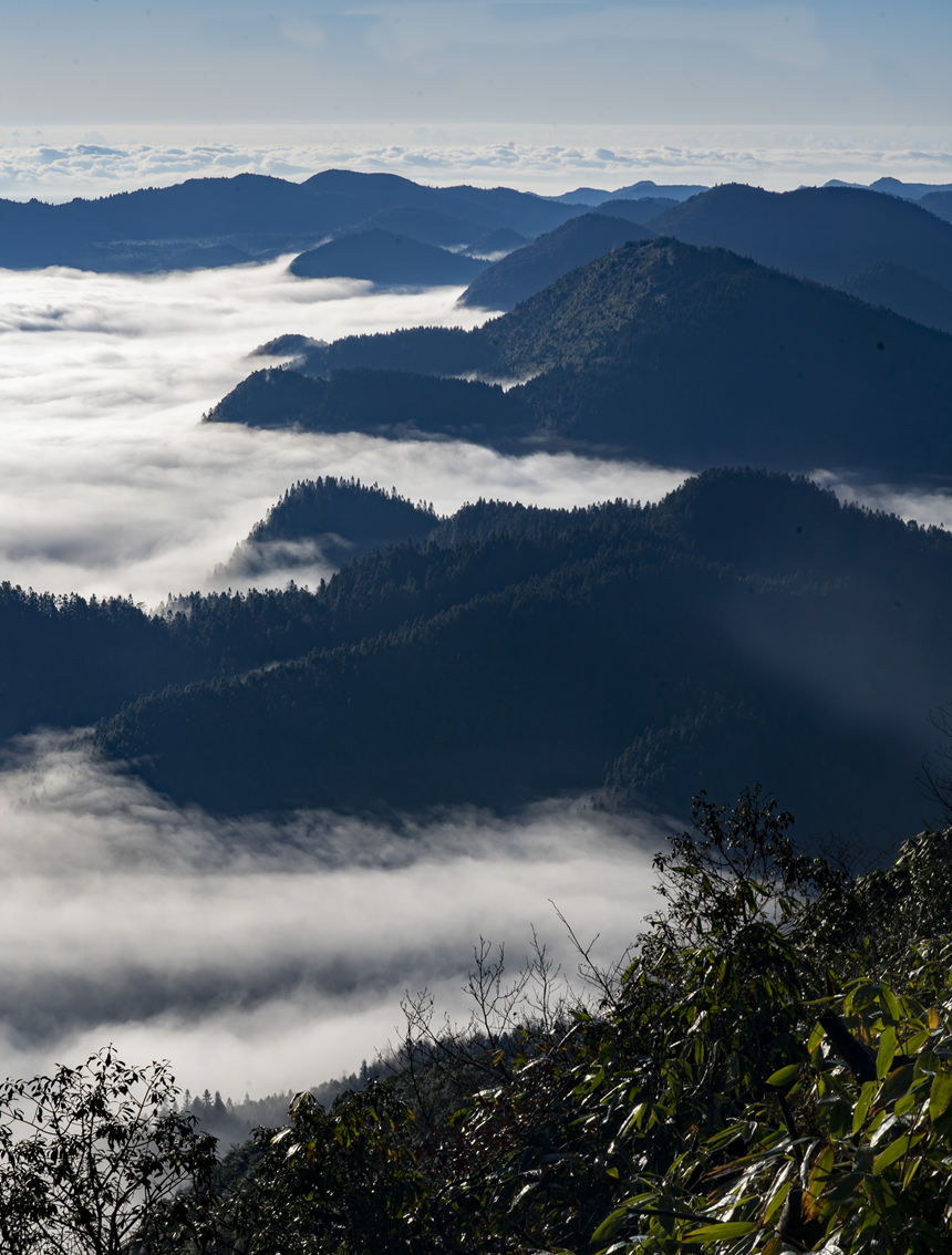 �ƺ��cɽ�X����ӳ�r���@��ɽ�箋�������A�z