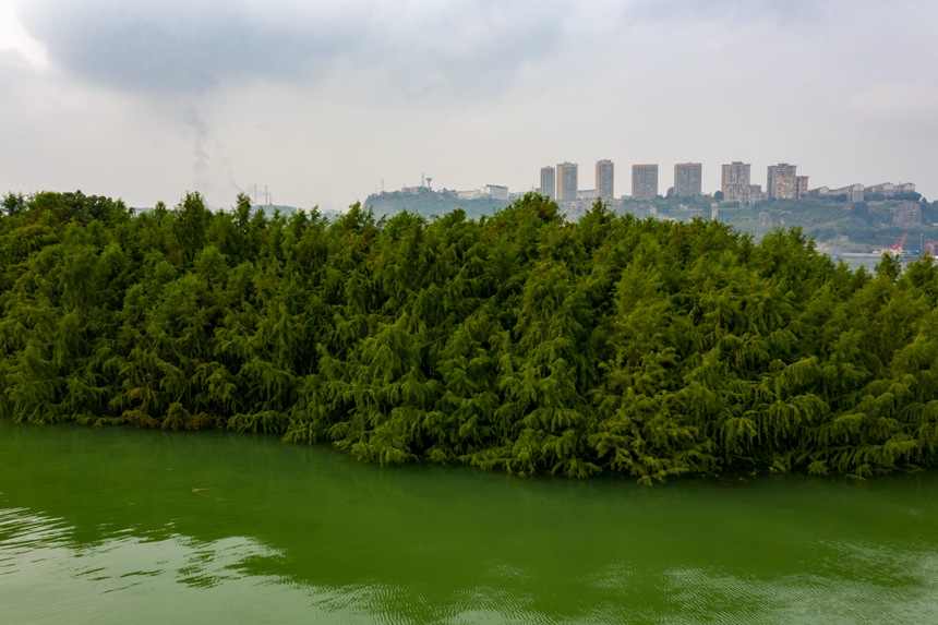 ��ɽɼ���п��˹�ɳ����(w��n)����(k��)�����á��s�v���z