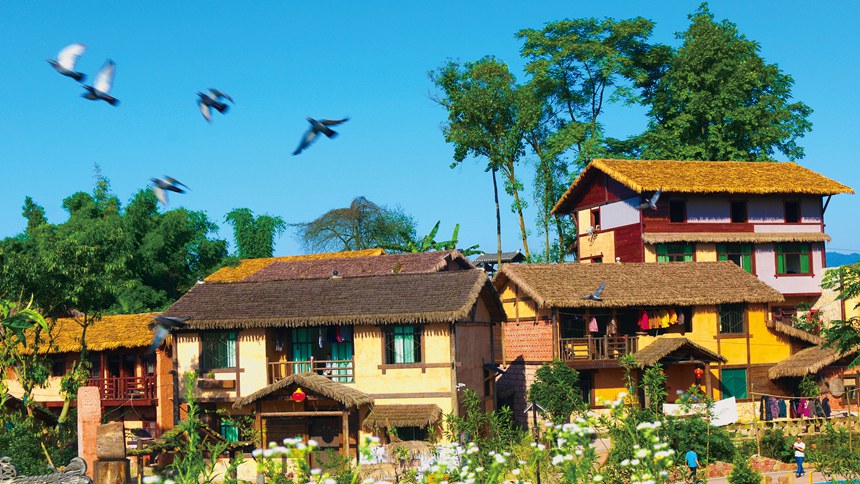 �山�^(q��)�d¡�(zh��n)�Y���ݻ���ٲ�ͥԺ�����D���ؑc��ס�����l(xi��ng)��ί���D