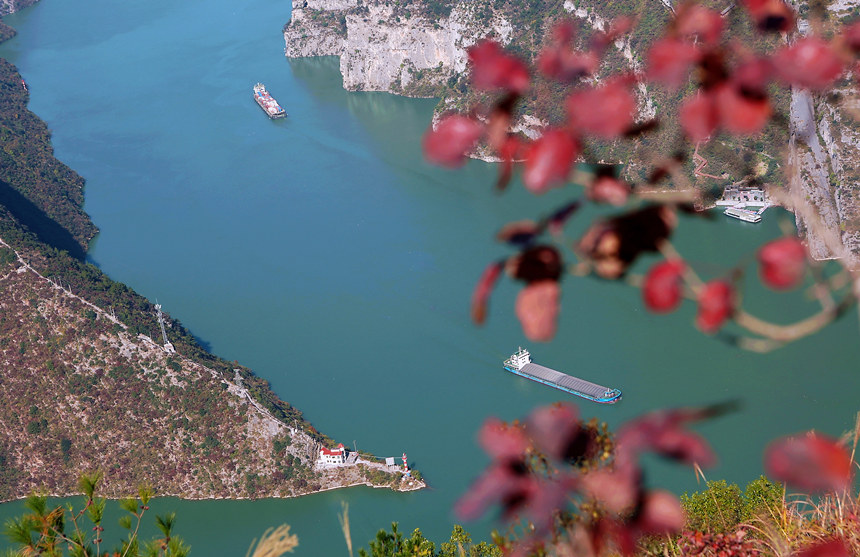 ��ɽ�t�~�������R�ȑc�z