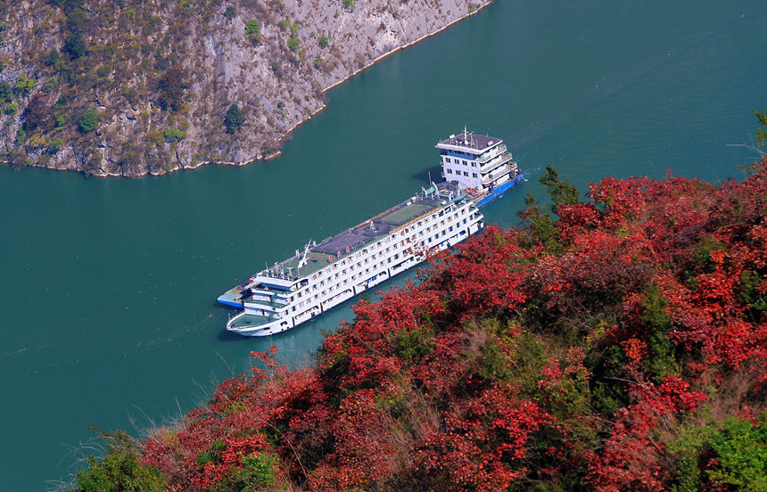 ��ɽ��Ұ����ɽ�t�~���R�ȑc�z