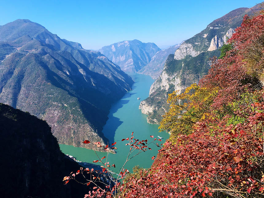 �׍{��ɽ����ϼ���R�ȑc�z