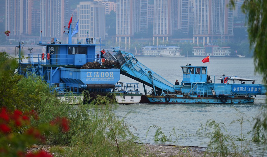 �Cе����Ư���I(y��)�������S�z