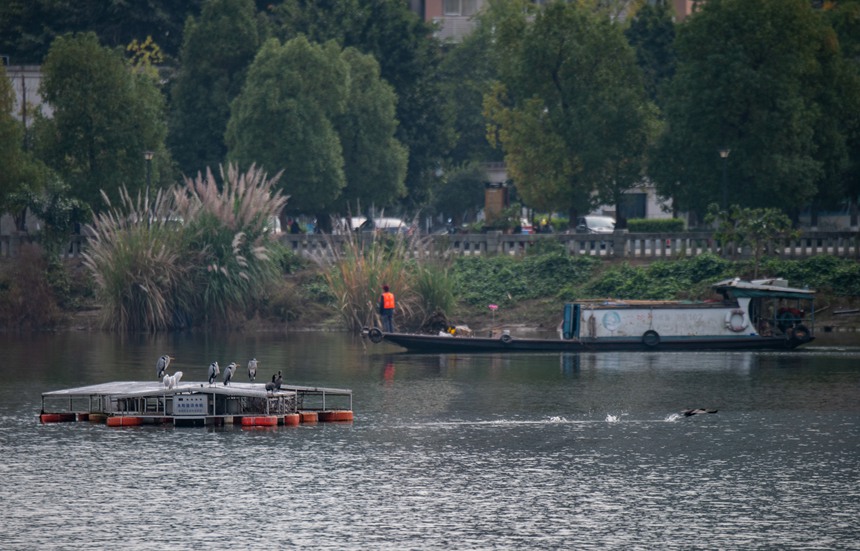 �B����̫��ܻ�ˮ�C��Ъ�_����Ư������߅��^��Ƚ��܊�z