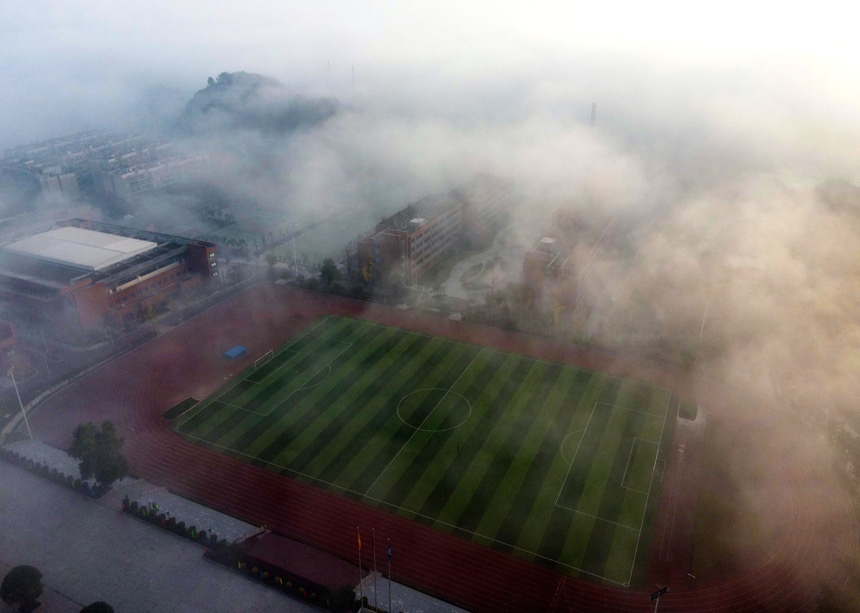 �Ŀ��и�����������гʬF(xi��n)��һ�N���V֮�����޾�ӡ�z