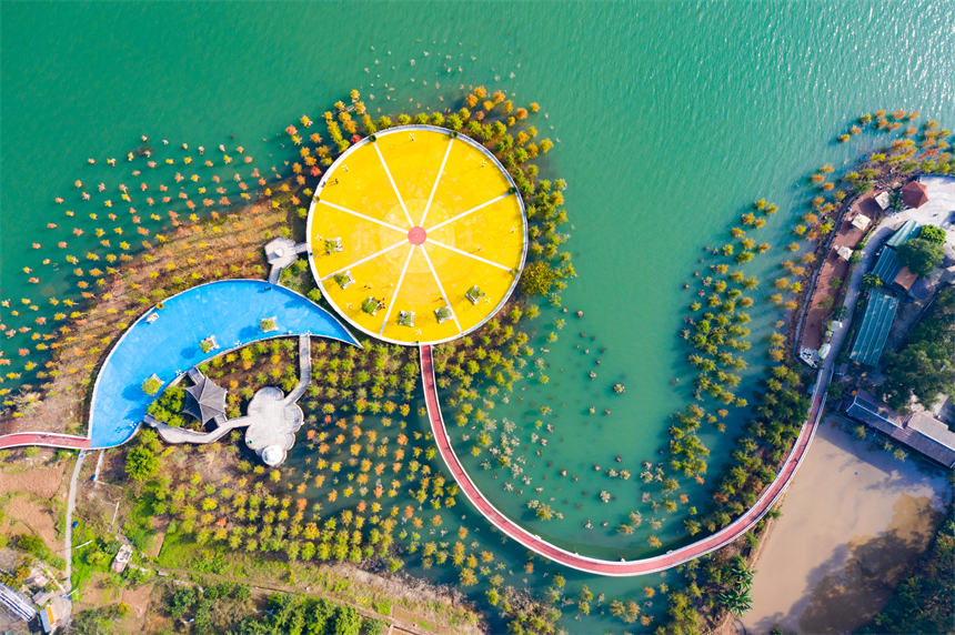 ����_�������V�����I��ʮ���L�Ⱥ͡�ˮ��ɭ�֡��γ�һ���n�����L(f��ng)�������s�v���z