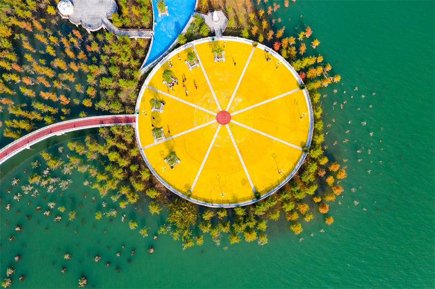 ����_�������V�����I��ʮ���L�Ⱥ͡�ˮ��ɭ�֡��γ�һ���n�����L�������s�v���z