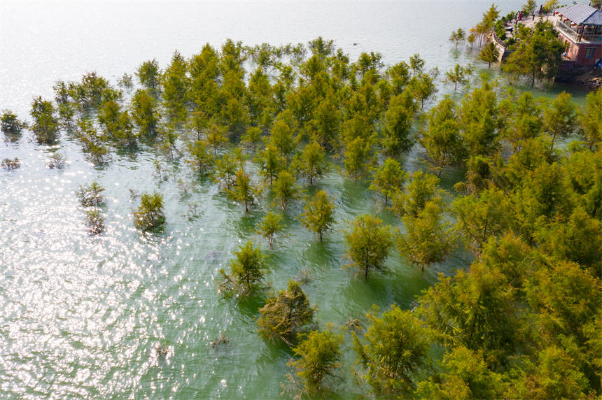 ��ɽɼ�M����һ��������ˮ��ɭ�־��^���s�v���z