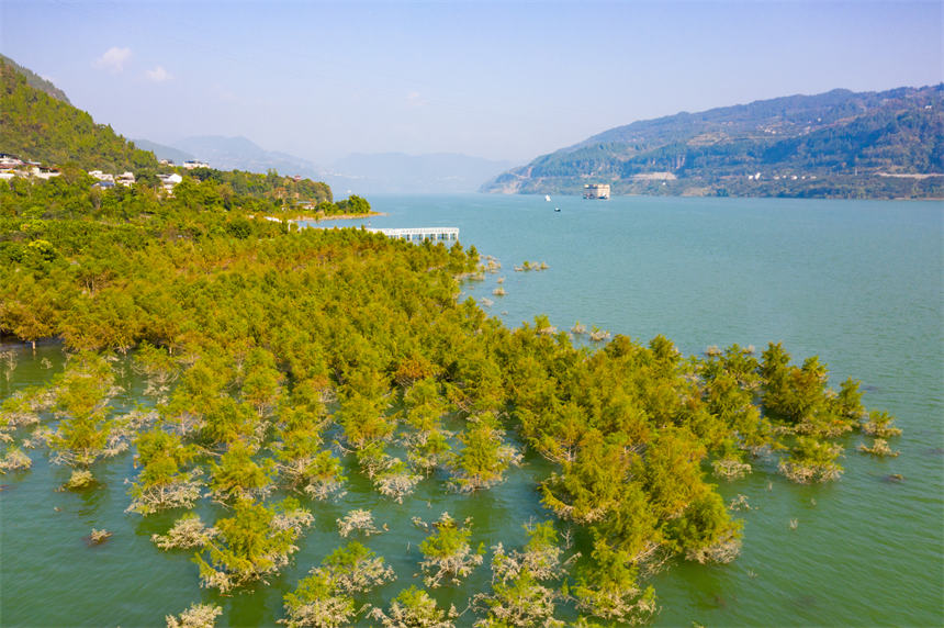 ��ɽɼ�M����һ��������ˮ��ɭ�־��^���s�v���z