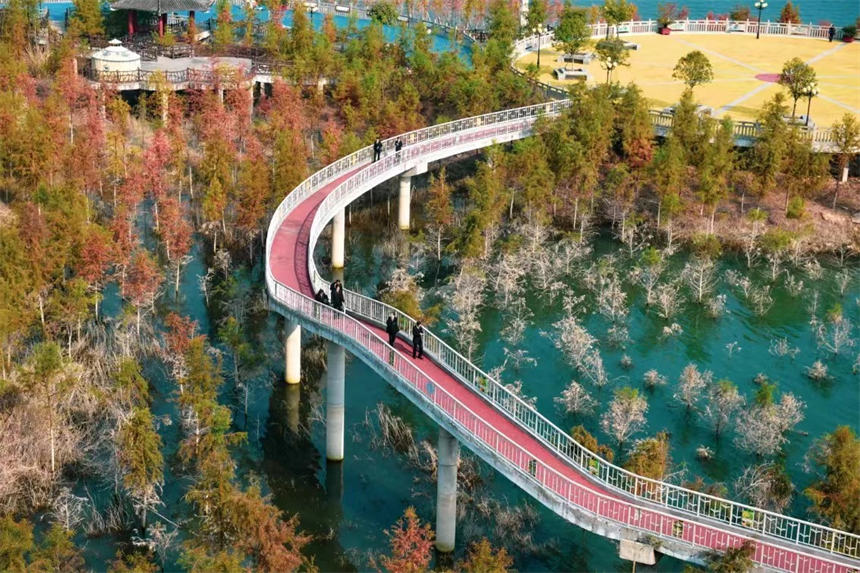 ���f�݅^(q��)�����(zh��n)���V�������ː������ܞI�����L(f��ng)���� �s�v���z