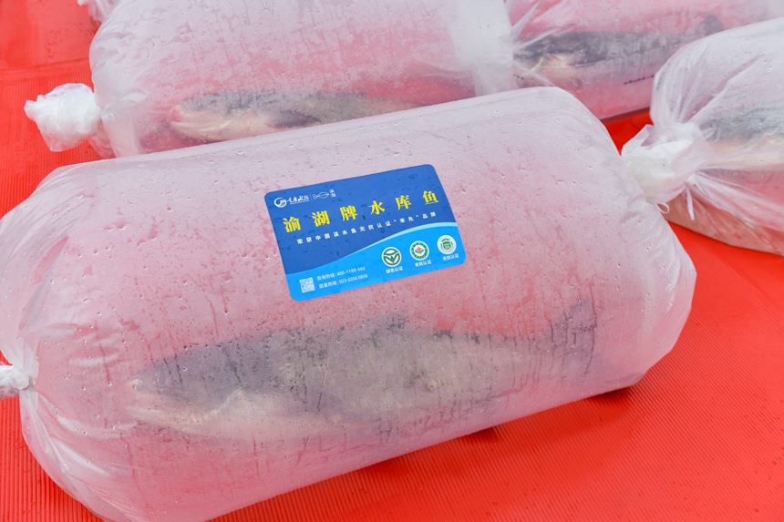 ��������~�������r���u���z