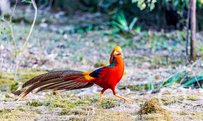 �t���������B�ڽ��ɽ��Ȼ���o(h��)�^(q��)�eͥ�Ų���������z