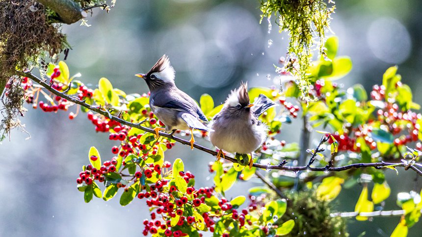 ���ɽ��Ȼ���o(h��)�^(q��)��(n��i)�İ��I(l��ng)�L(f��ng)����������z