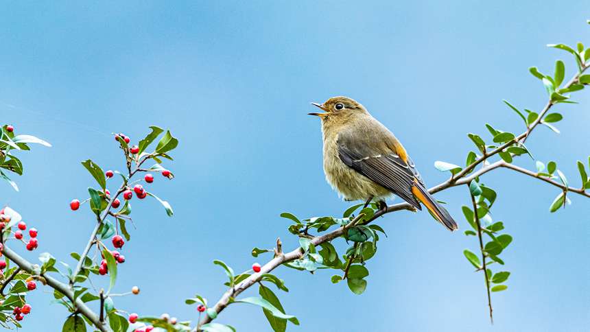 �{�~�tβ�z�ڽ��ɽ���Ÿ衱��������z