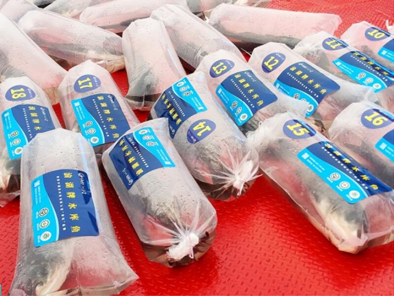 �����ˮ���~������z