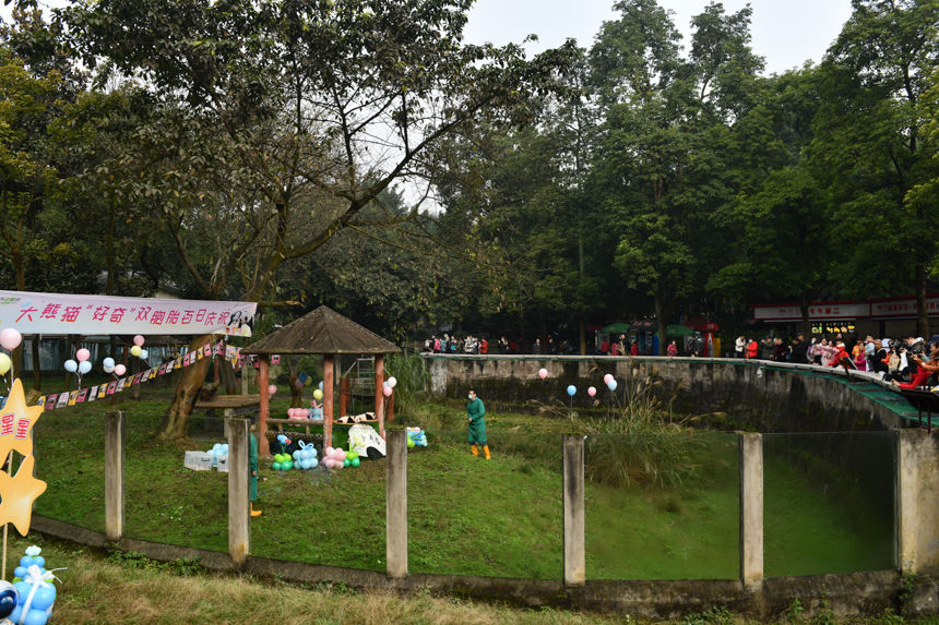 �����ο����ؑc����@���p��̥����؈���u���z