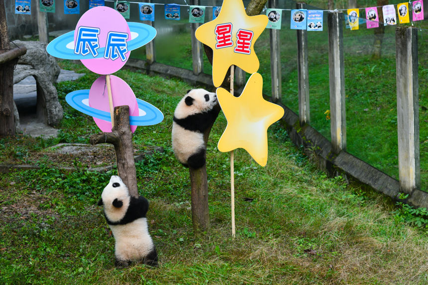 �ؑc�p��̥��؈�ֵܡ����ǡ������������u���z