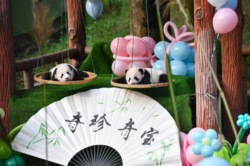 �ؑc�p��̥����؈�����䡱���挚���M�������u���z