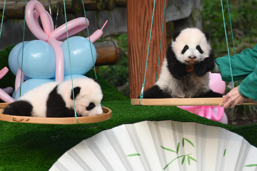 �ؑc����@����؈�����䡱���挚�����u���z