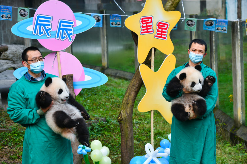 ��؈���̰֡������p��̥��؈���u��(l��)�z